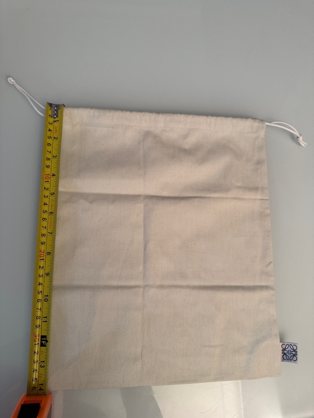 NEW LOEWE DUST BAGS ONLY